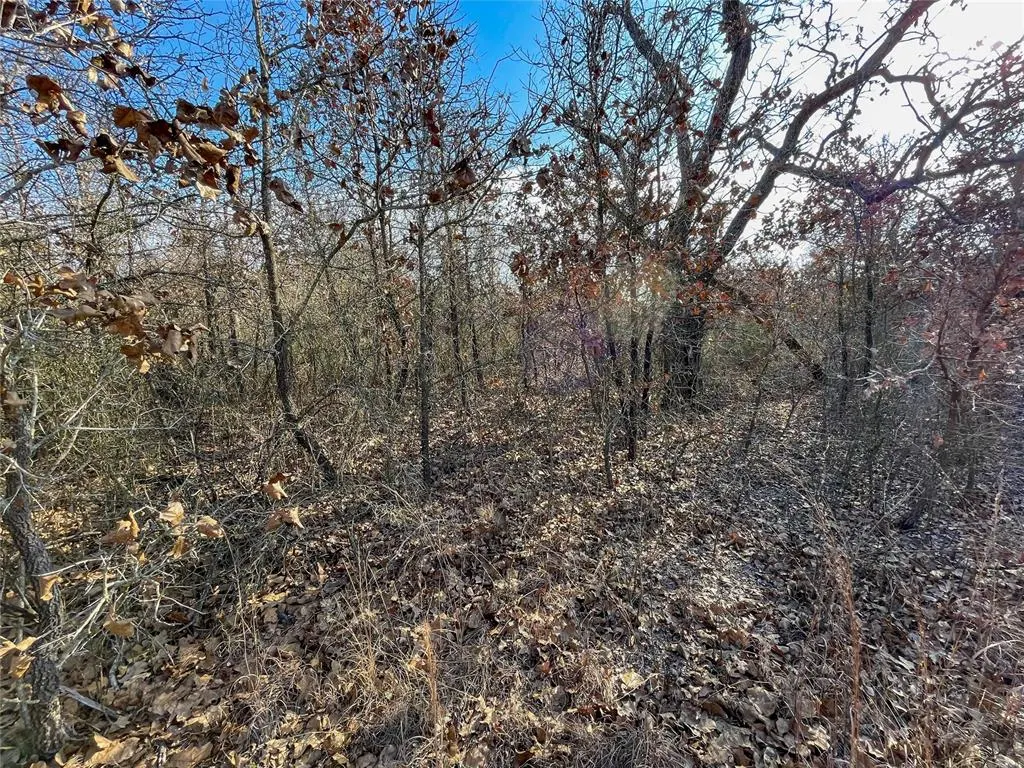 Photo 28 — 0000 Cemetery Road Road, Ratliff City, OK 73481