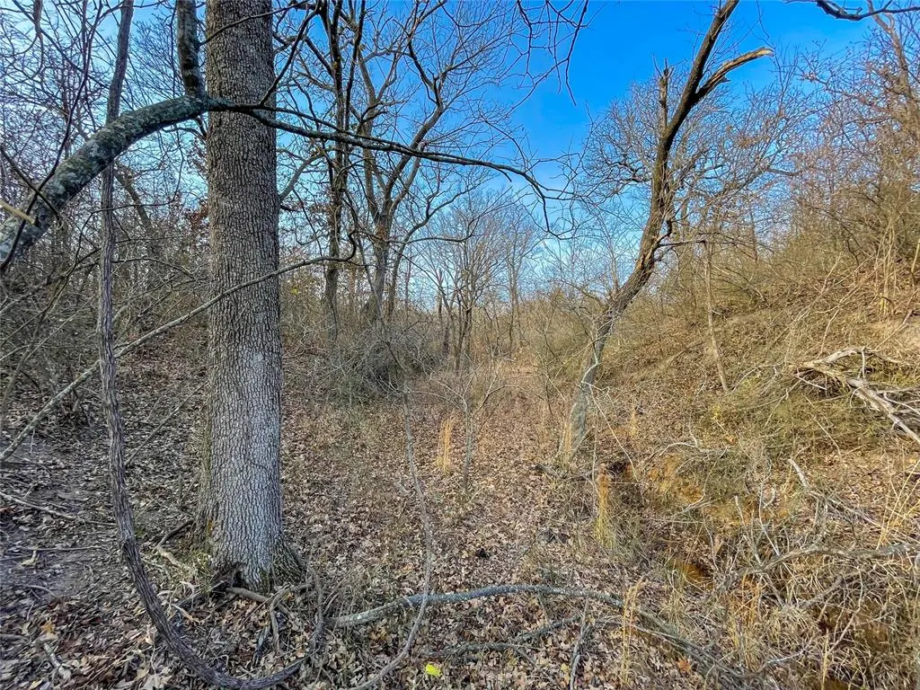 Photo 33 — 0000 Cemetery Road Road, Ratliff City, OK 73481