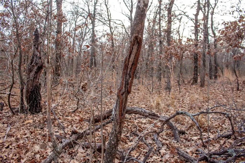 Photo 36 — 0000 Cemetery Road Road, Ratliff City, OK 73481