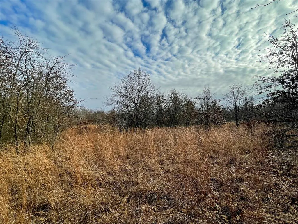 Photo 38 — 0000 Cemetery Road Road, Ratliff City, OK 73481