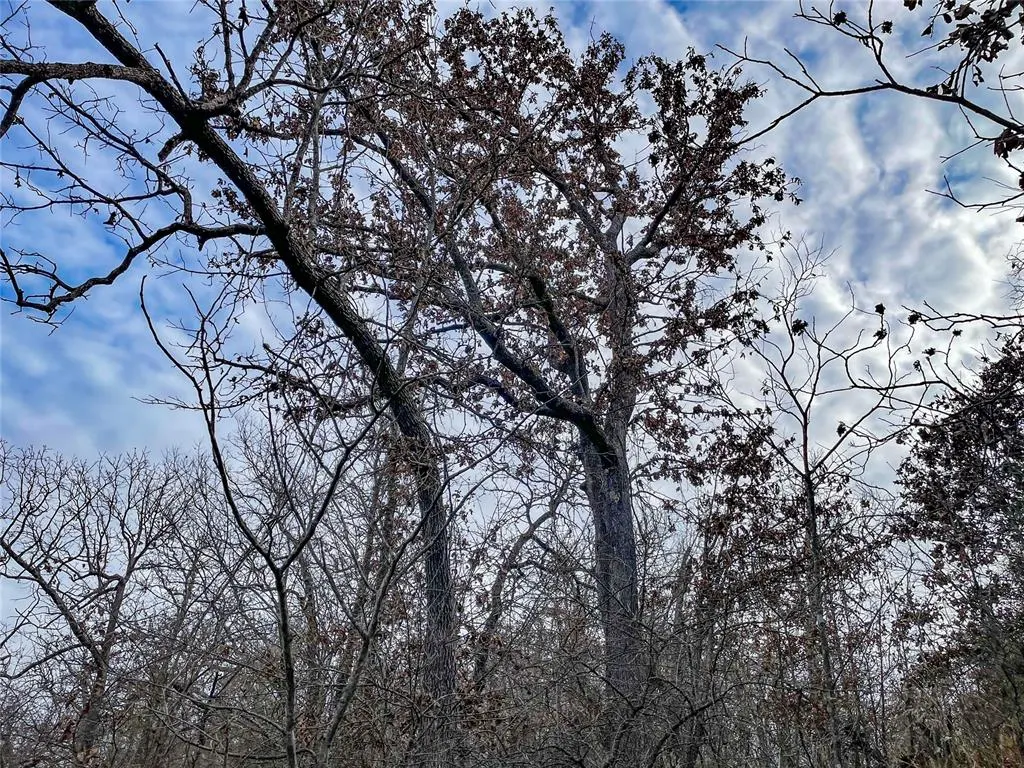 Photo 41 — 0000 Cemetery Road Road, Ratliff City, OK 73481