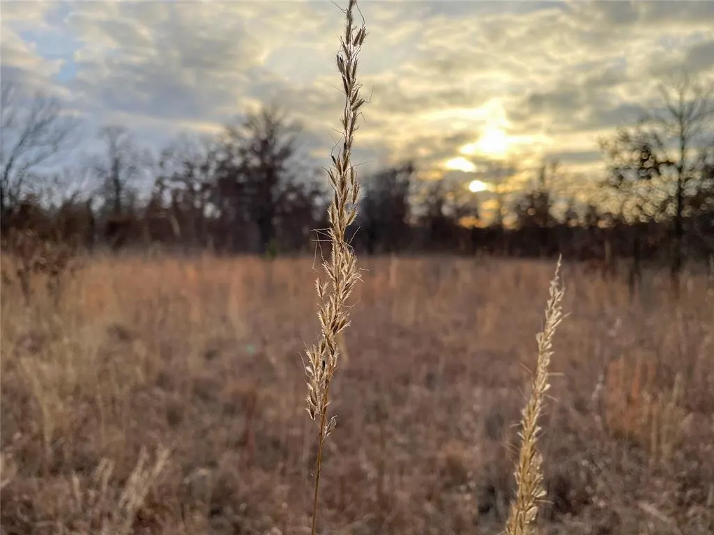 Photo 44 — 0000 Cemetery Road Road, Ratliff City, OK 73481