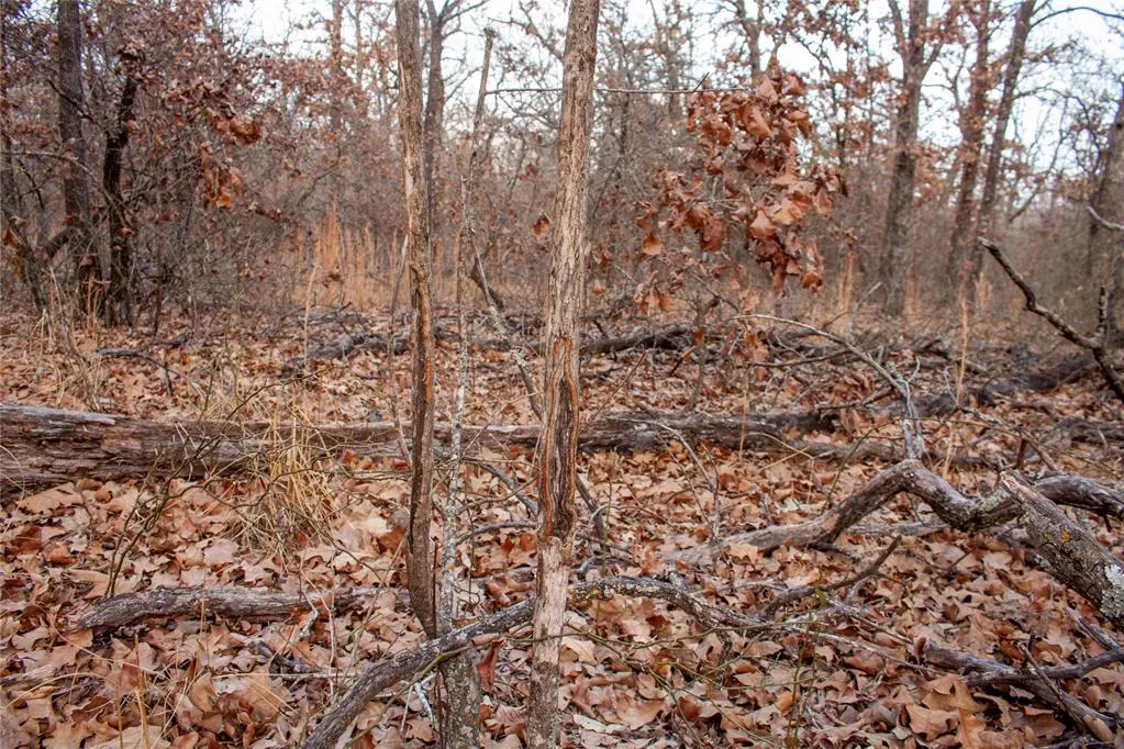 Photo 46 — 0000 Cemetery Road Road, Ratliff City, OK 73481