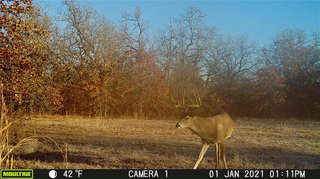 Photo 48 — 0000 Cemetery Road Road, Ratliff City, OK 73481