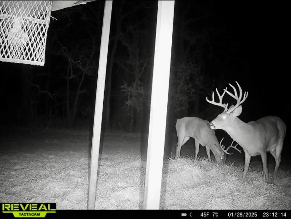 Photo 50 — 0000 Cemetery Road Road, Ratliff City, OK 73481
