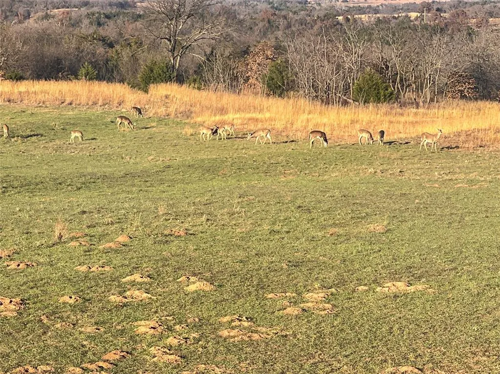 Photo 50 — W 760 Road, Crescent, OK 73028