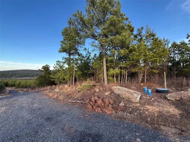 Photo 3 — 333 Overcup Oak Trail, Broken Bow, OK 74728