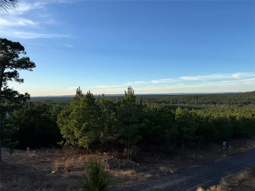 Photo 6 — 333 Overcup Oak Trail, Broken Bow, OK 74728