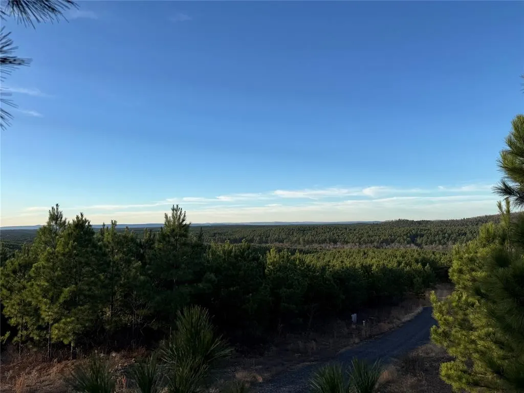 Photo 7 — 333 Overcup Oak Trail, Broken Bow, OK 74728