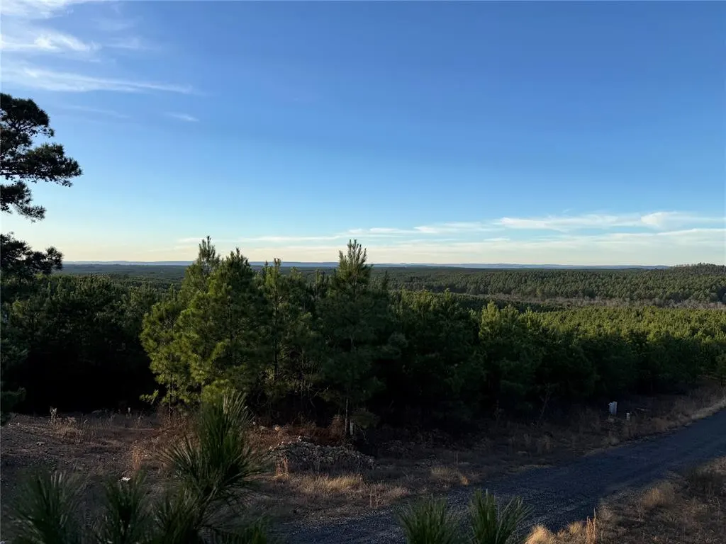 Photo 9 — 333 Overcup Oak Trail, Broken Bow, OK 74728
