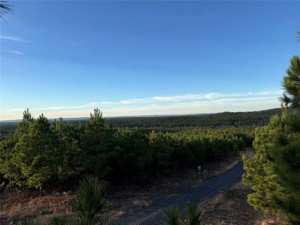 Photo 10 — 333 Overcup Oak Trail, Broken Bow, OK 74728