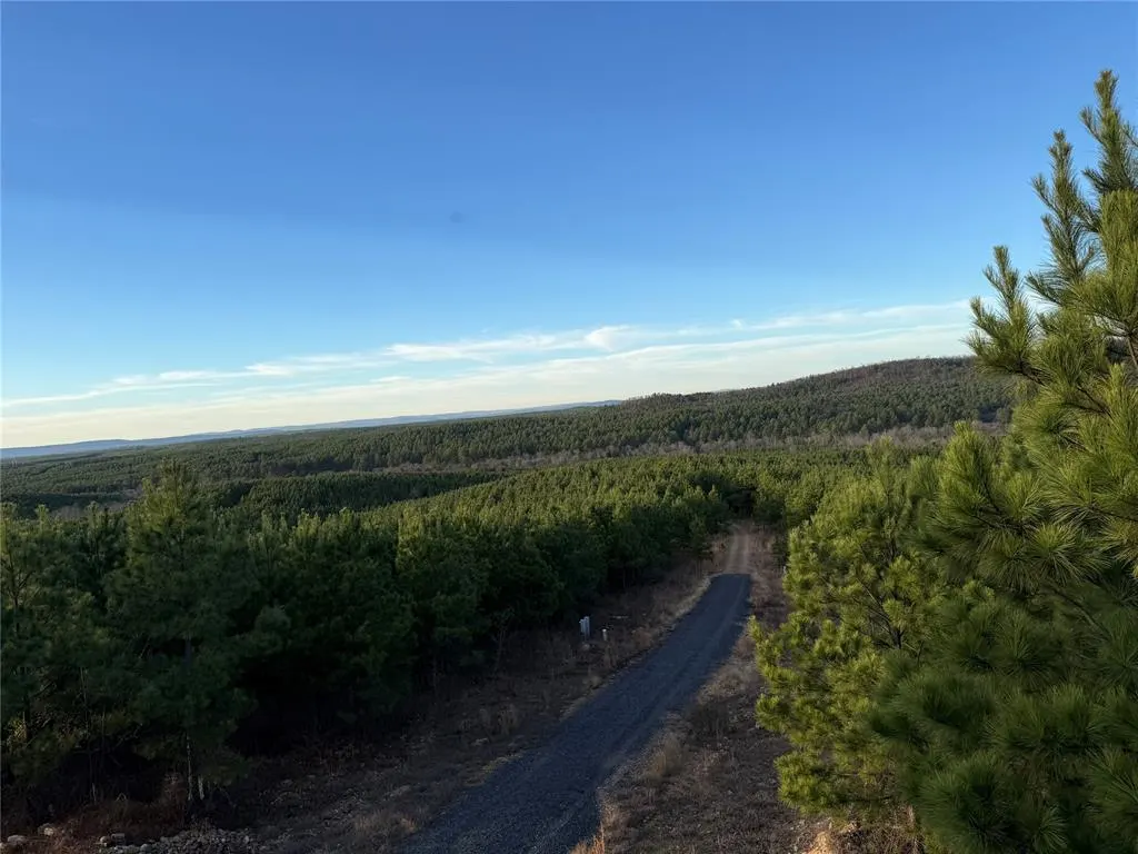 Photo 12 — 333 Overcup Oak Trail, Broken Bow, OK 74728