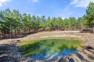 Sold home at 64 Pine Root Court