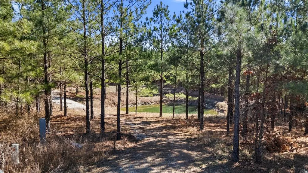 Photo 2 — 64 Pine Root Court, Broken Bow, OK 74728