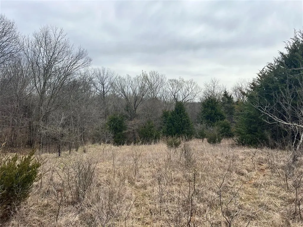 Photo 8 — Ropers Avenue, Wayne, OK 73095