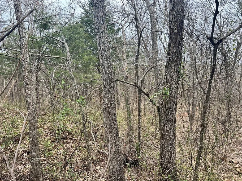Photo 18 — Ropers Avenue, Wayne, OK 73095