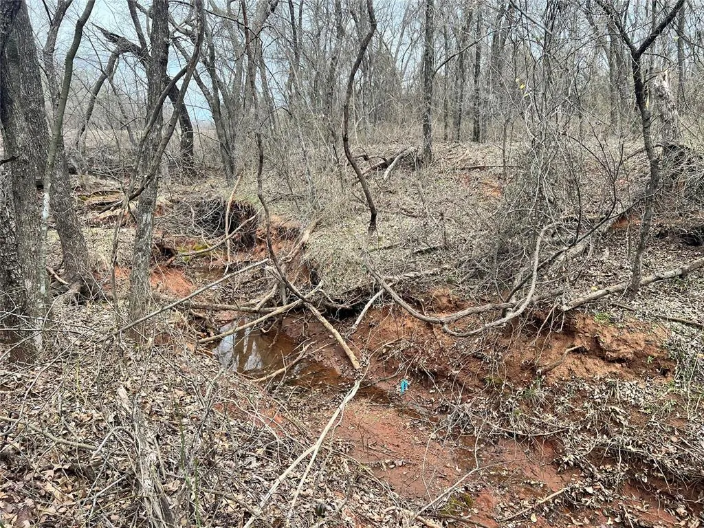 Photo 27 — Ropers Avenue, Wayne, OK 73095