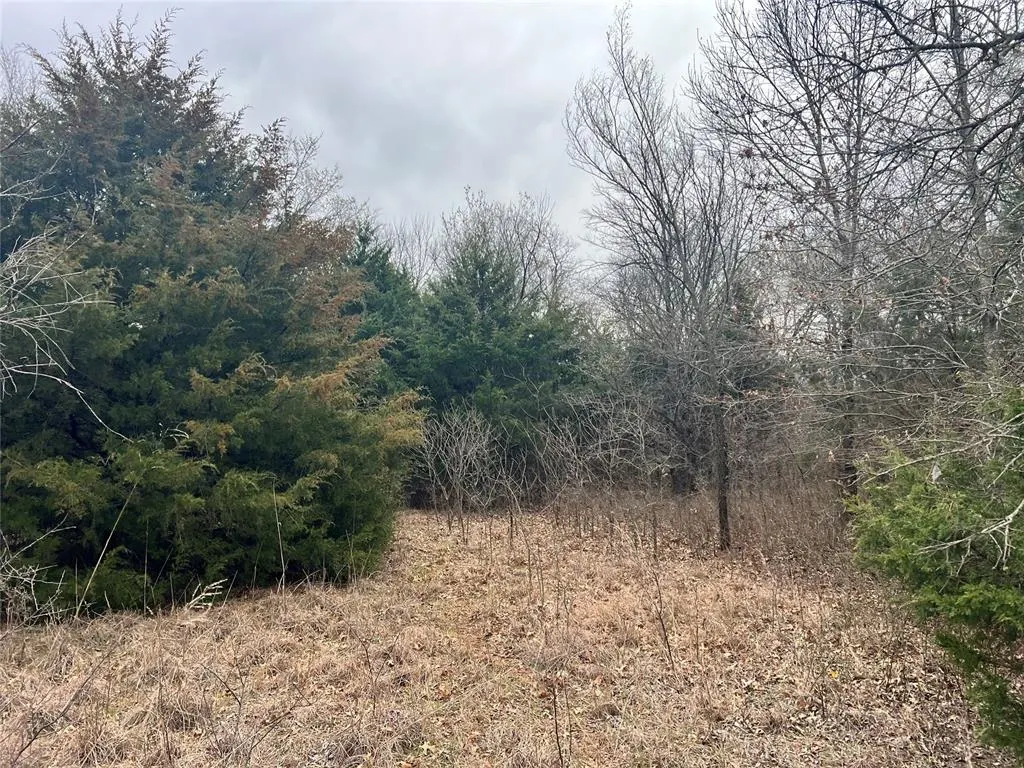 Photo 29 — Ropers Avenue, Wayne, OK 73095