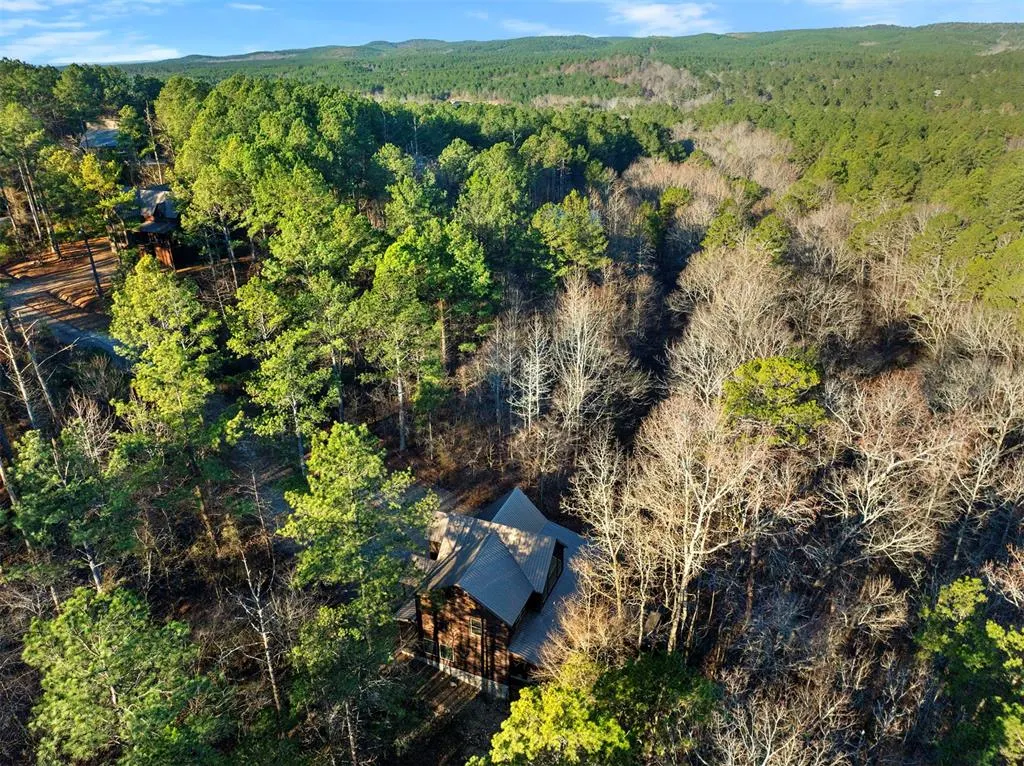 Photo 3 — 46 Yellow Wood Trail, Broken Bow, OK 74728
