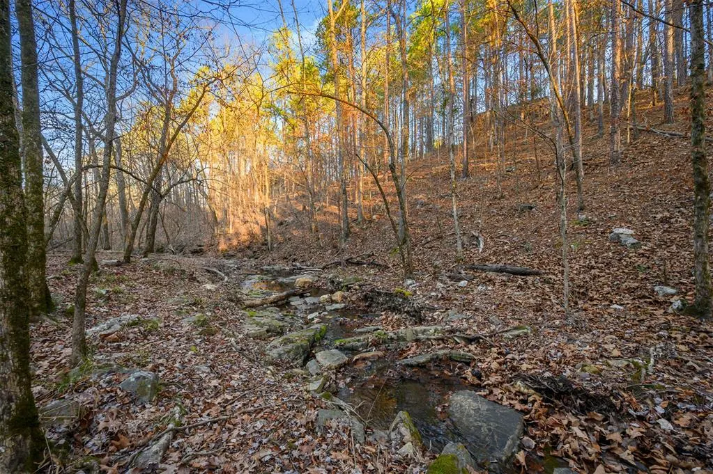 Photo 9 — 46 Yellow Wood Trail, Broken Bow, OK 74728