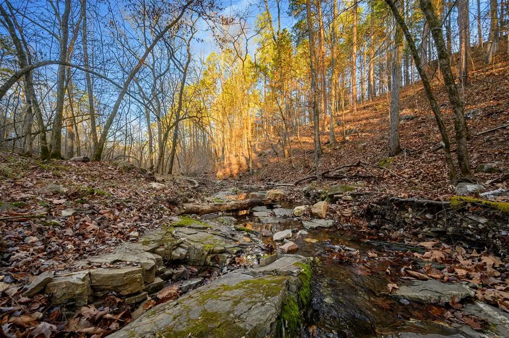 Photo 10 — 46 Yellow Wood Trail, Broken Bow, OK 74728
