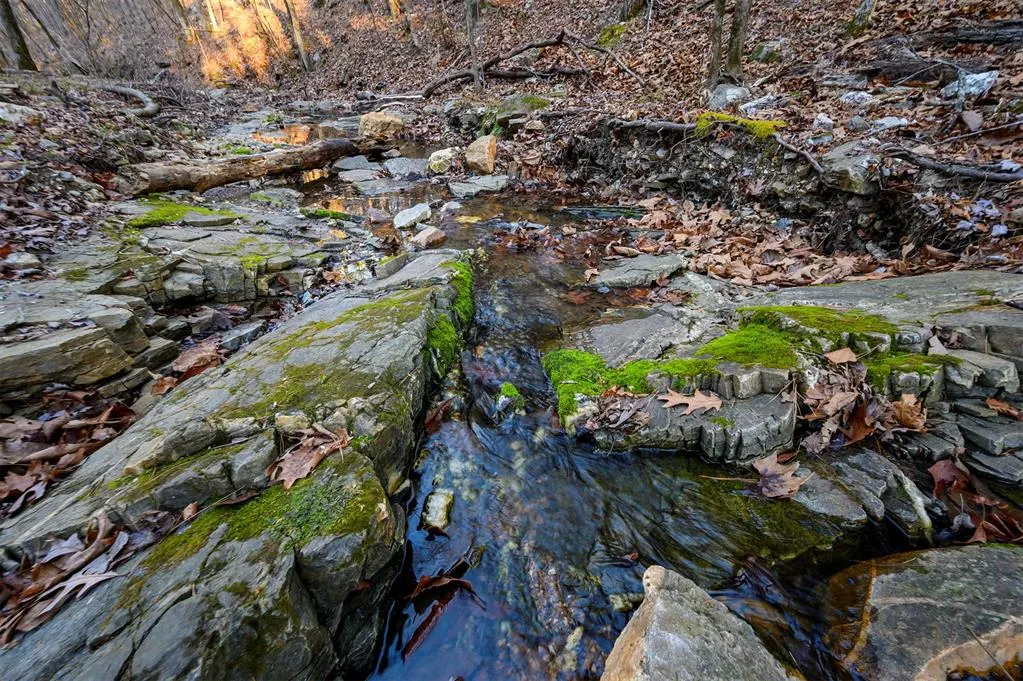 Photo 11 — 46 Yellow Wood Trail, Broken Bow, OK 74728