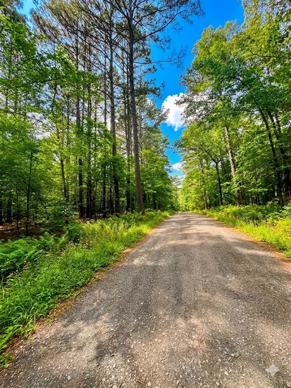 Photo 3 — 26 Mangrove Road, Broken Bow, OK 74728