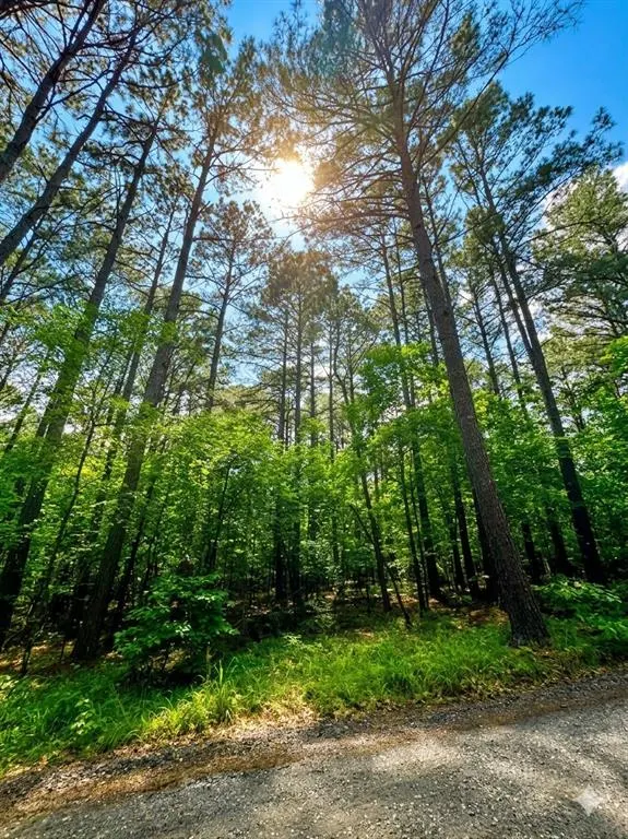 Photo 5 — 26 Mangrove Road, Broken Bow, OK 74728