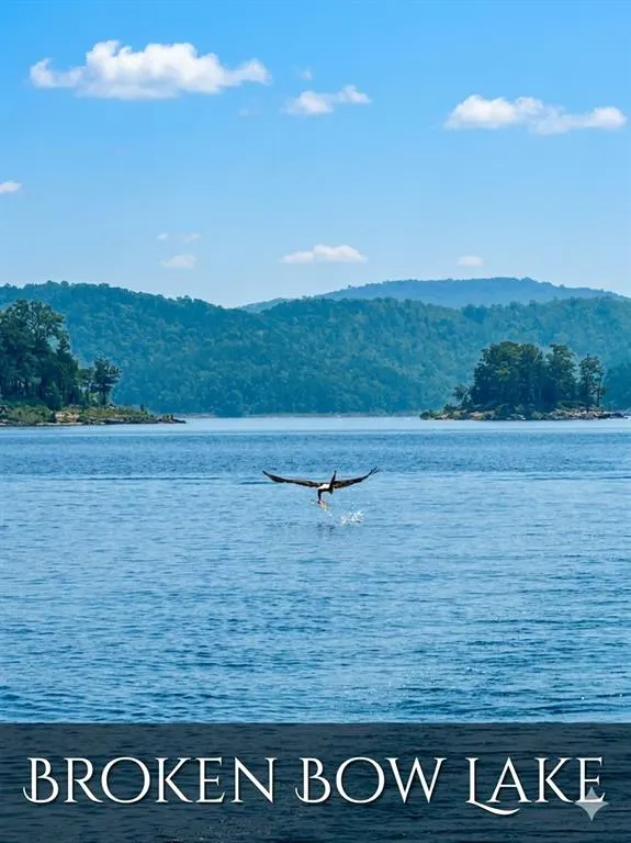 Photo 6 — 26 Mangrove Road, Broken Bow, OK 74728