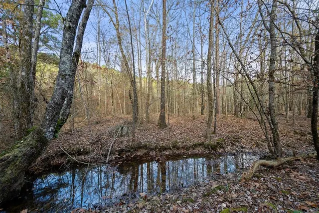 Photo 3 — 315 Marked Pine Lane, Broken Bow, OK 74728