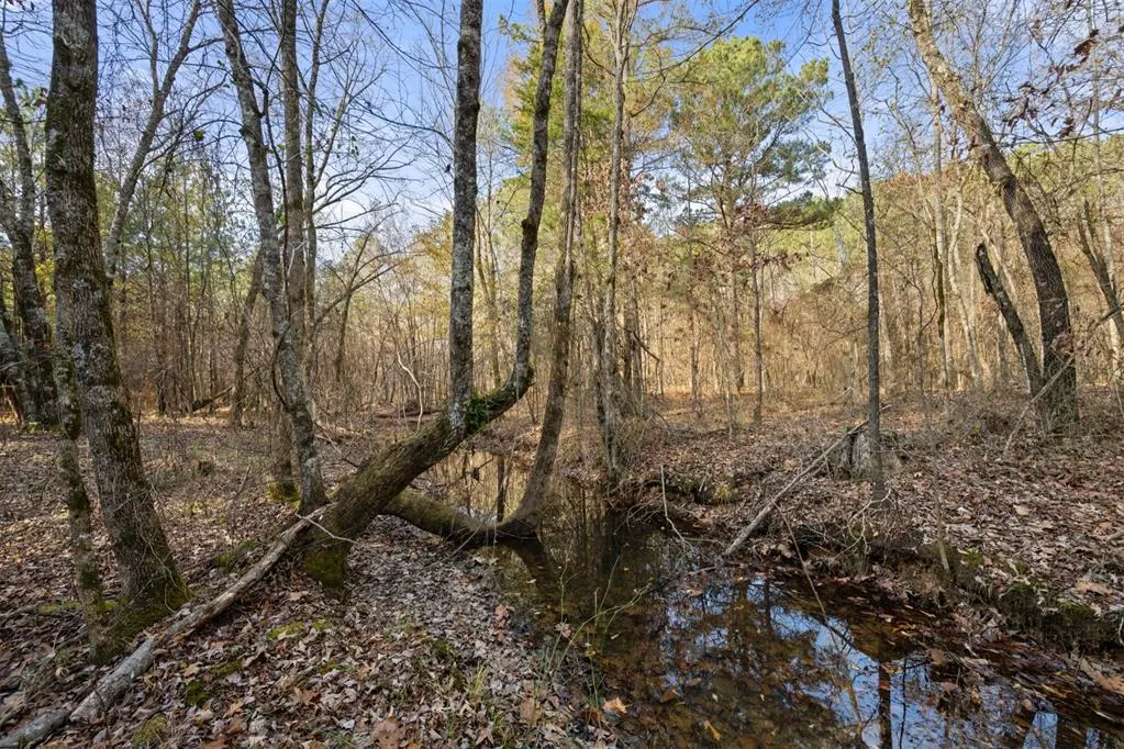 Photo 8 — 315 Marked Pine Lane, Broken Bow, OK 74728