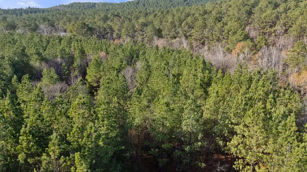 Photo 9 — 315 Marked Pine Lane, Broken Bow, OK 74728