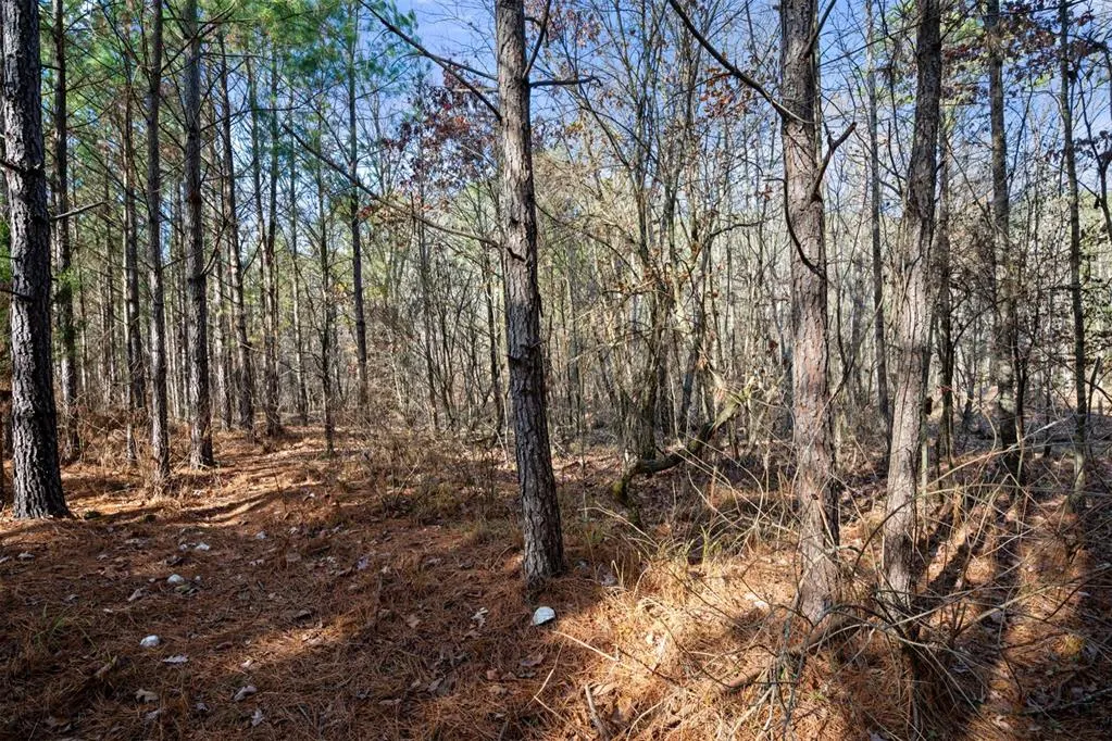 Photo 19 — 315 Marked Pine Lane, Broken Bow, OK 74728