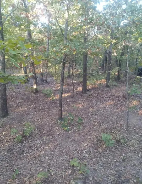 Photo 8 — 00 N 365 Road, Seminole, OK 74868