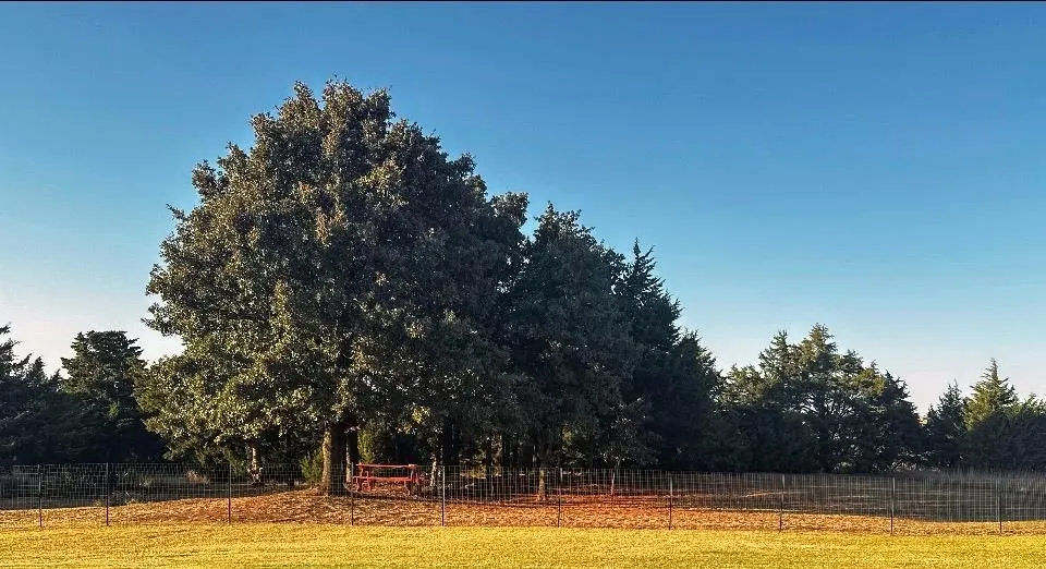 Photo 32 — 5461 Little Farms Road, Guthrie, OK 73044