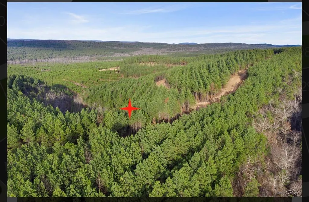 Photo 3 — 905 Timberline Trail, Broken Bow, OK 74728