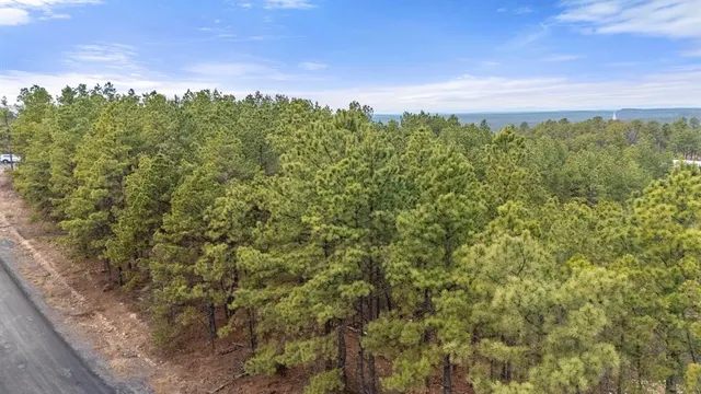 Photo 4 — 905 Timberline Trail, Broken Bow, OK 74728