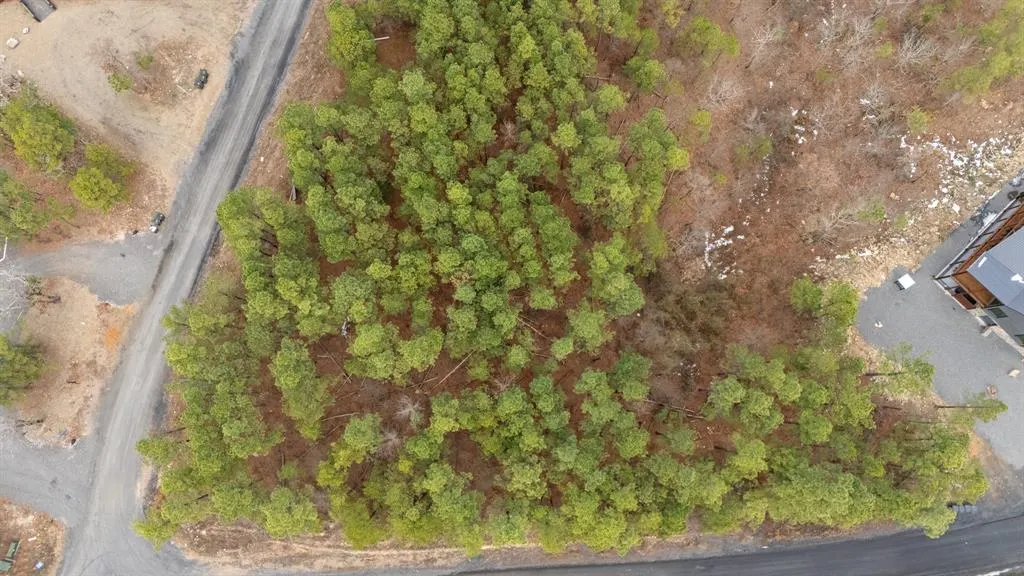 Photo 9 — 905 Timberline Trail, Broken Bow, OK 74728