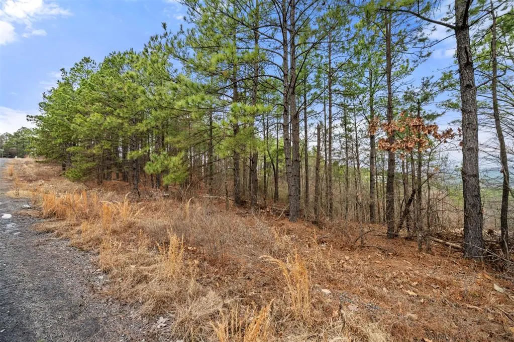 Photo 12 — 905 Timberline Trail, Broken Bow, OK 74728