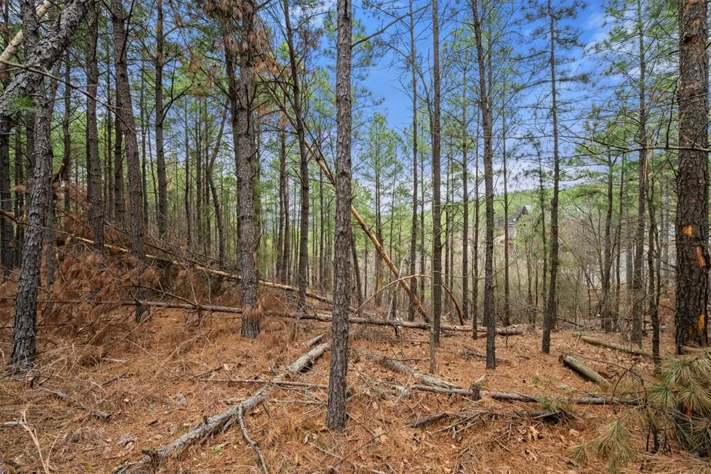 Photo 16 — 905 Timberline Trail, Broken Bow, OK 74728