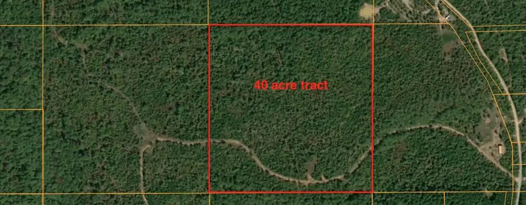 Photo 11 — Flag Pole Road, Clayton, OK 74536