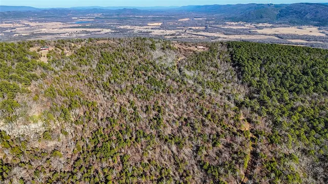 Photo 5 — Flag Pole Road, Clayton, OK 74536