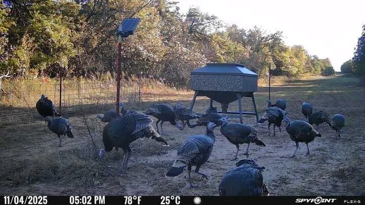 Photo 15 — 1210 County Road 1410, Cement, OK 73017