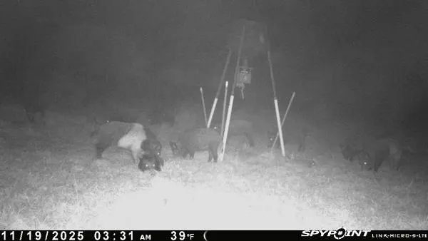 Photo 16 — 1210 County Road 1410, Cement, OK 73017