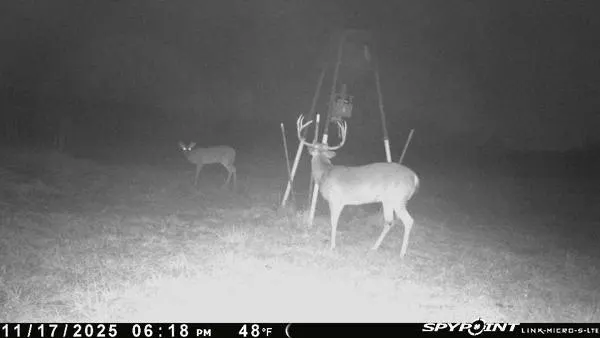 Photo 18 — 1210 County Road 1410, Cement, OK 73017