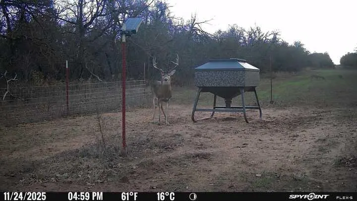 Photo 19 — 1210 County Road 1410, Cement, OK 73017