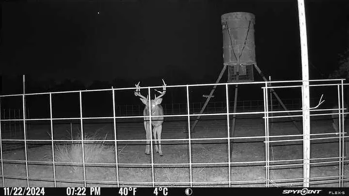 Photo 26 — 1210 County Road 1410, Cement, OK 73017
