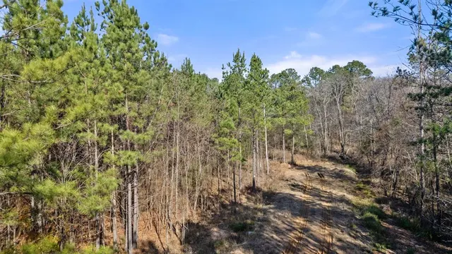 Photo 2 — 323 Marked Pine Lane, Broken Bow, OK 74728
