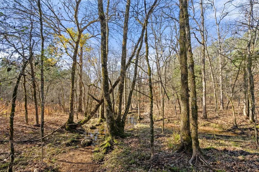 Photo 15 — 323 Marked Pine Lane, Broken Bow, OK 74728