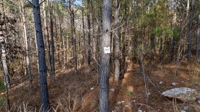 Photo 4 — 317 Marked Pine Lane, Broken Bow, OK 74728